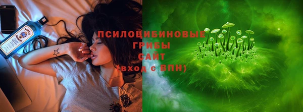 стафф Бронницы