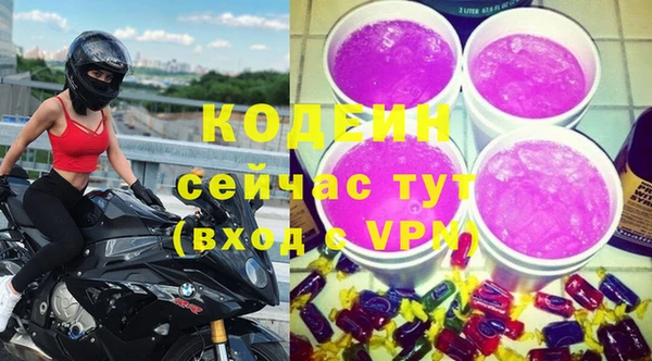 амф Бородино