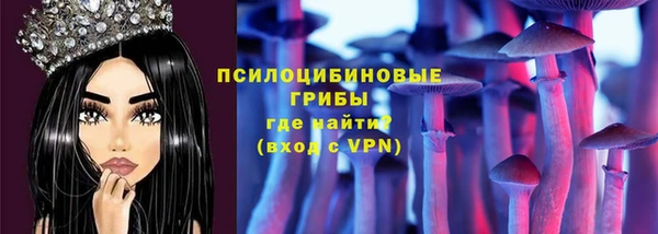 амф Бородино
