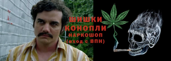 амф Бородино