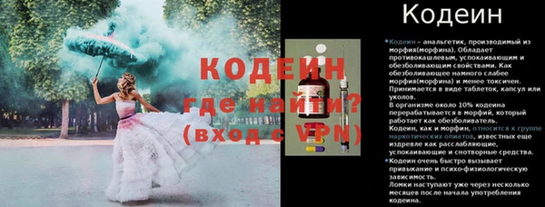 амф Бородино