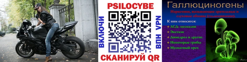 Купить где Новокубанск Галлюциногенные грибы GOLDEN TEACHER